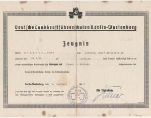 enlarge picture  - driving licence wood carb