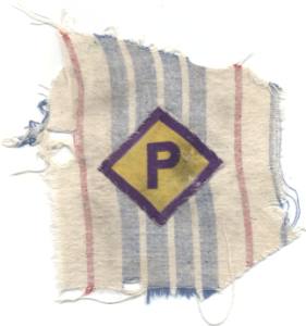 enlarge picture  - Badge Polish forced labou