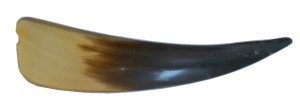 greres Bild - Schuhlffel Horn     1880